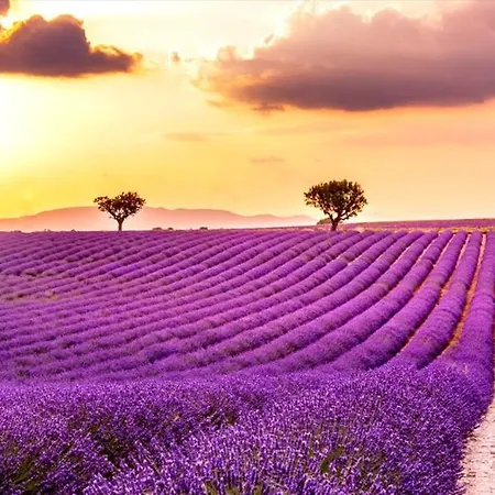Gite Valensole Exterior photo