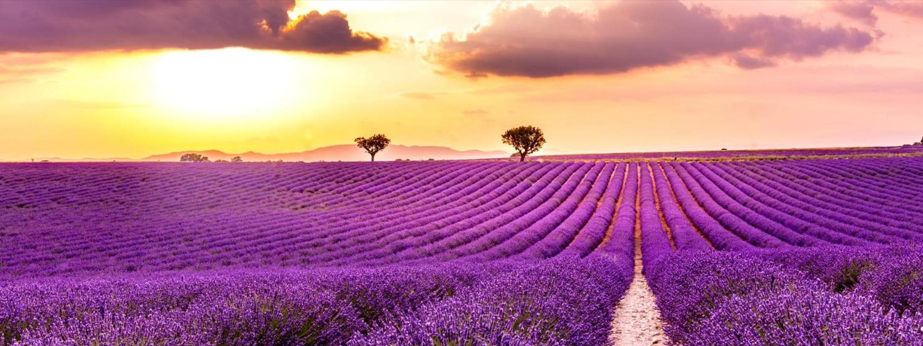 Gite Valensole Holiday home Valensole